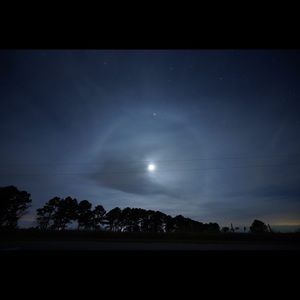 Meet your Posher, Sebastian